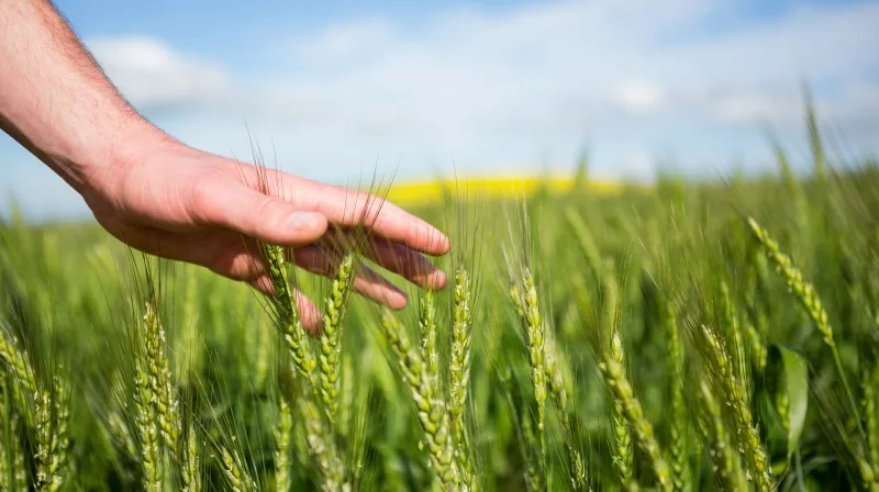 Fachkompetenz und günstige Preise